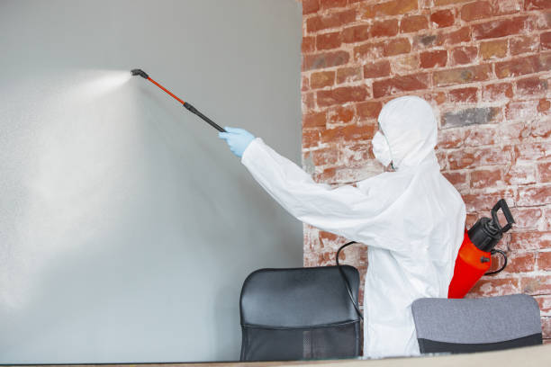 Best Industrial Mold Remediation  in Westbrook, ME