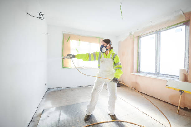 Best Black Mold Removal  in Westbrook, ME