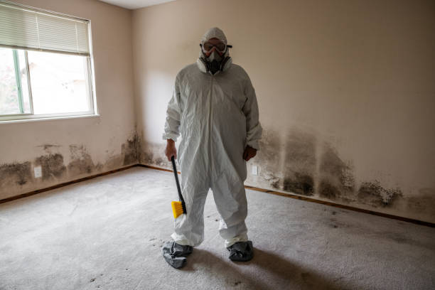 Best HVAC Mold Inspection and Cleaning  in Westbrook, ME